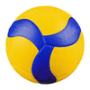 Outdoor No.5 Training & Beach Volleyball
