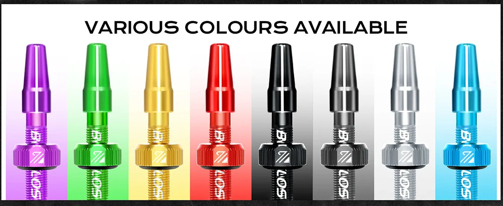 Tubeless Valves – Aluminum with Removable Core