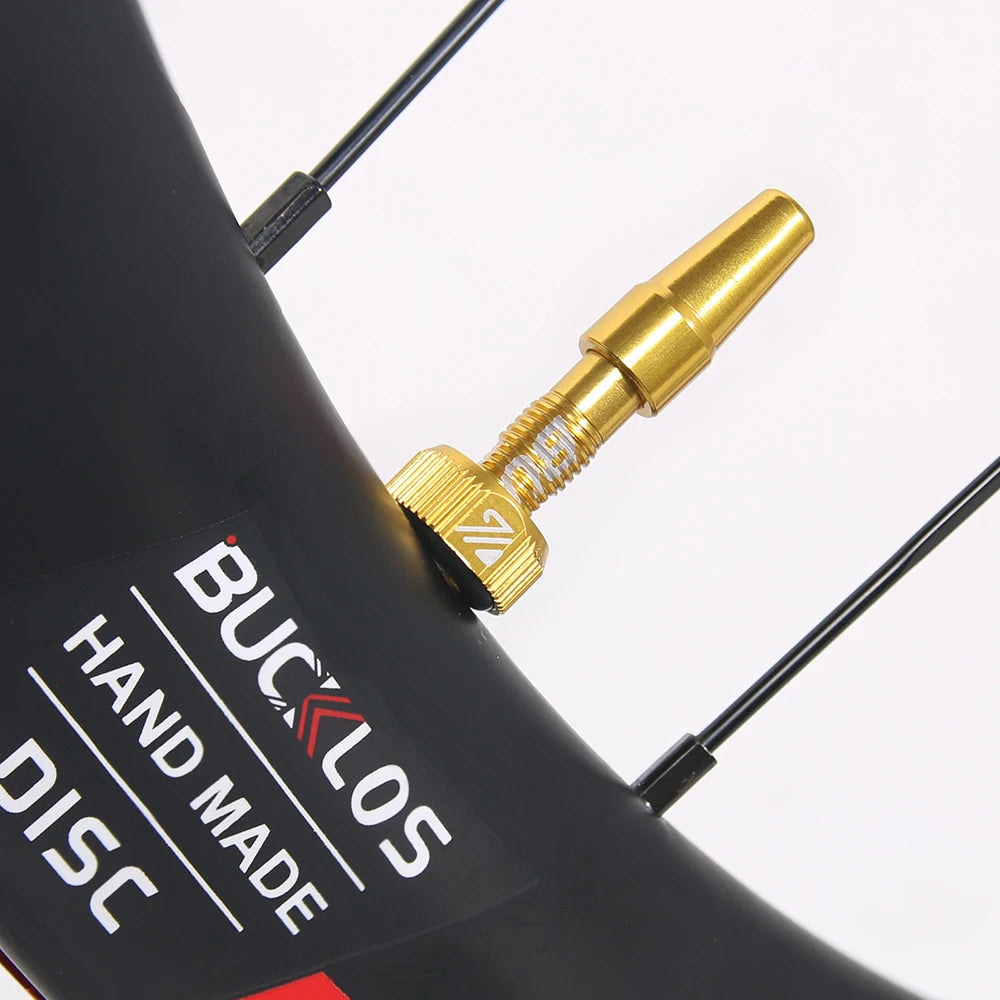 Tubeless Valves – Aluminum with Removable Core