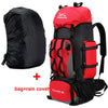 Hiking Backpack