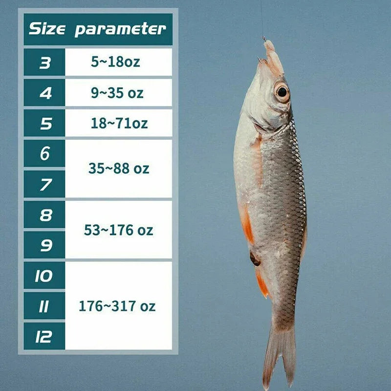 Fishing Hooks