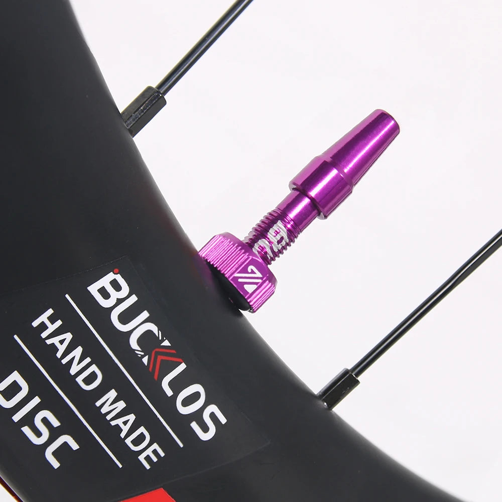 Tubeless Valves – Aluminum with Removable Core